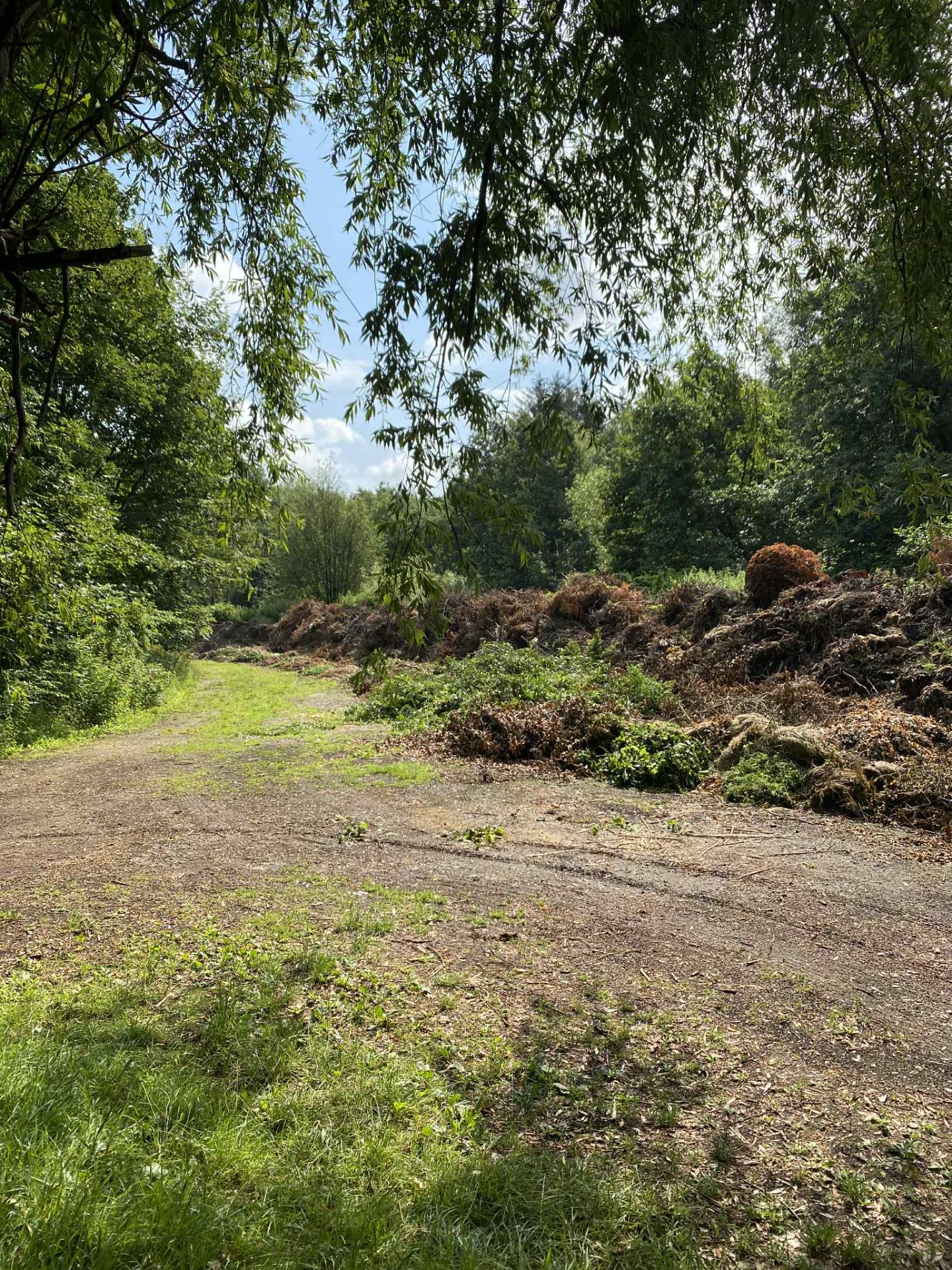 Lunden ved Ravnsbjerg